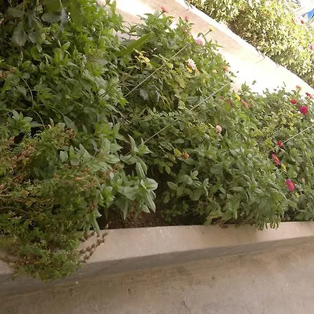 شقة فندقية Fania