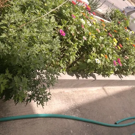 Fania Kardamena (Kos)