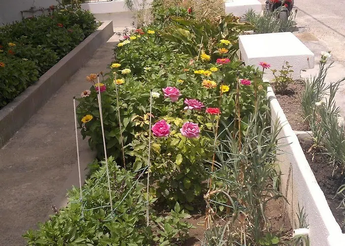 Fania 아파트호텔 Kardamena (Kos)