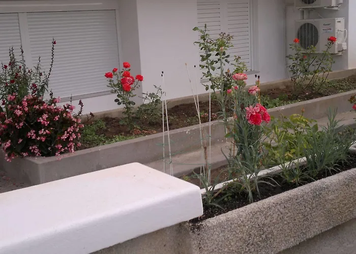 公寓式酒店 法尼亚公寓 3*