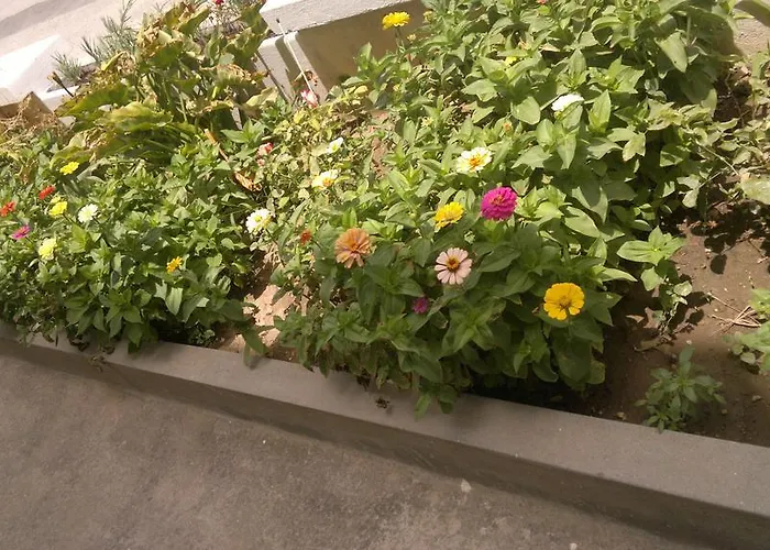 公寓式酒店 法尼亚公寓 Kardamena (Kos)