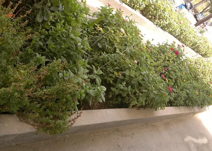 公寓式酒店 法尼亚公寓