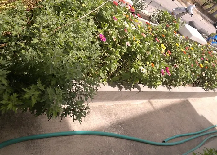 法尼亚公寓 Kardamena (Kos)